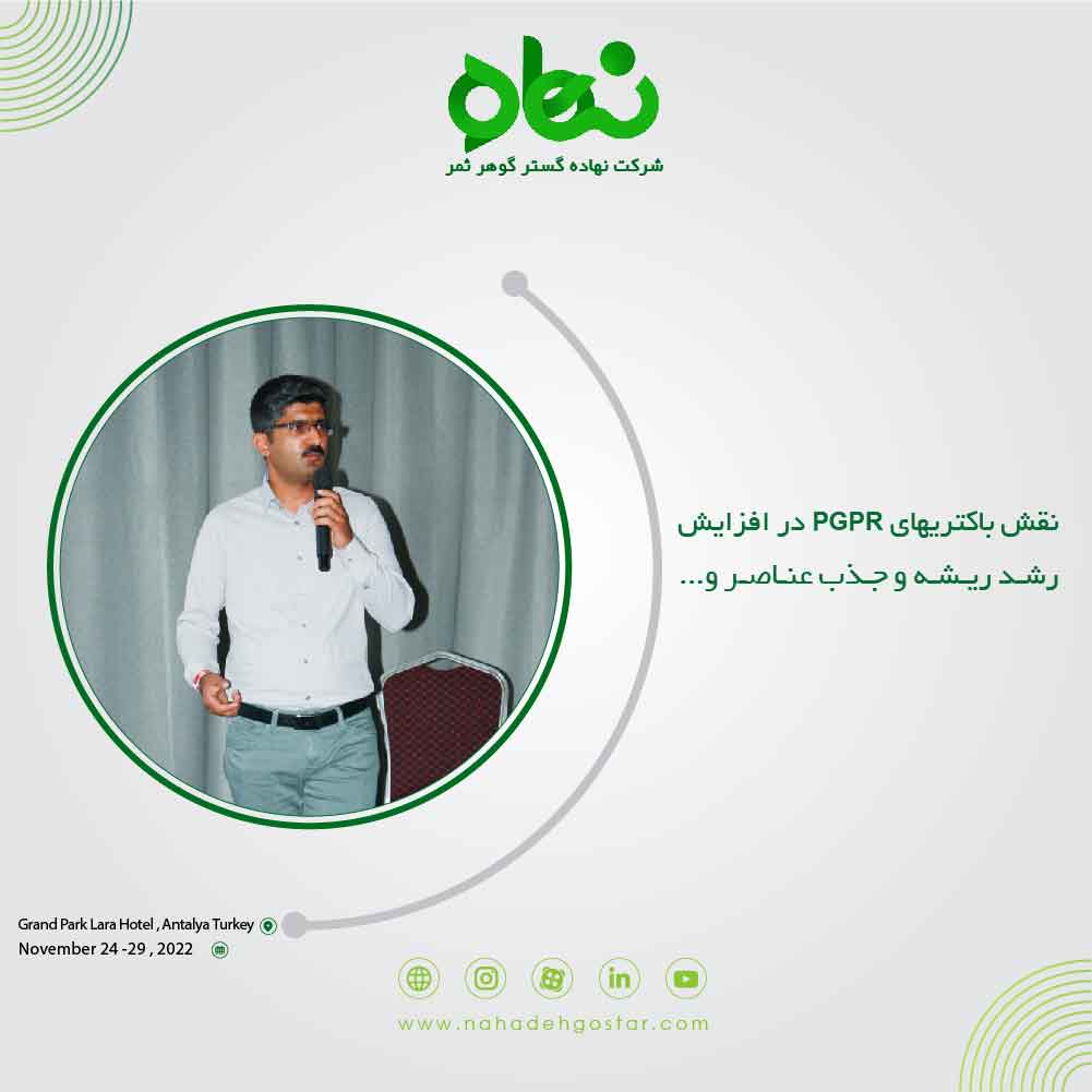 نقش باکتری های PGPR در افزایش رشد ریشه و جذب عناصر و ...